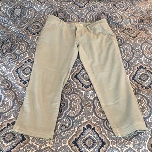 Loft cropped pants
